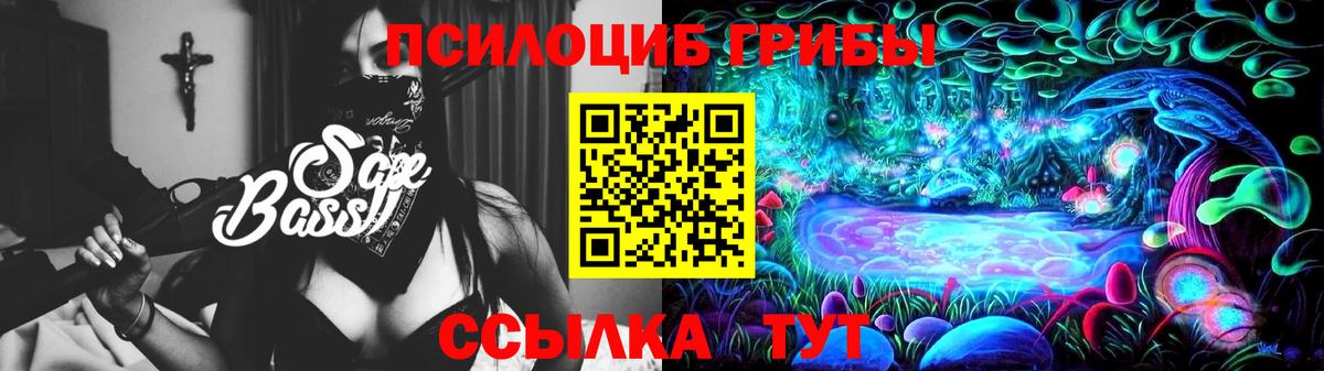 Галлюциногенные грибы MAGIC MUSHROOMS  Псилоцибиновые грибы мухоморы  Анапа  Вход с VPN 